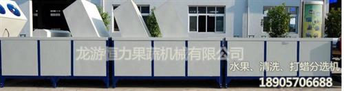 恒力果蔬机械质量上乘、水果清洗机、水果清  水果清洗机采购  水果清洗机价格  水果清洗机设备价