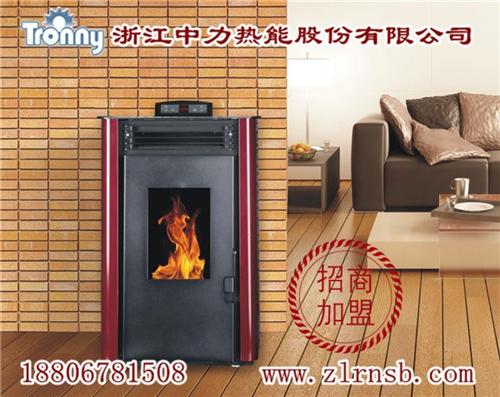 壁炉机构、西藏壁炉、浙江中力热能公司(图  壁炉项目投资  壁炉售后
