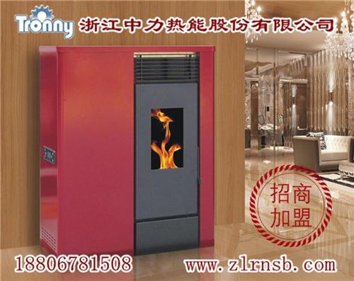 壁炉机构,壁炉,浙江中力不容错过(多图)  壁炉售后  壁炉品牌加盟