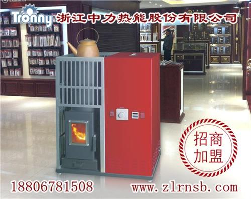壁炉总代理,天津壁炉,浙江中力(查看)  壁炉供应商  壁炉销售价