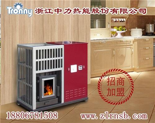 浙江中力有口皆碑_壁炉_壁炉商城  壁炉价格  壁炉招商