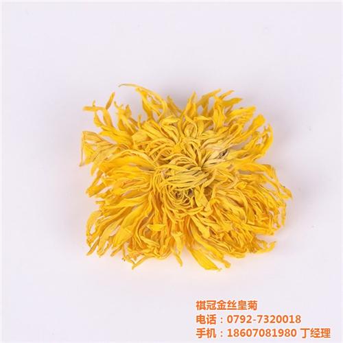 金丝皇菊代理,天津金丝皇菊,修水祺冠金丝  金丝皇菊礼盒  金丝皇菊招商加盟