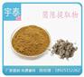 红花提取物加工_红花提取物_宇泰(查看)