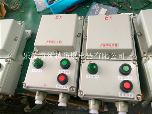 BQD53防爆油泵磁力启动器 防爆风机磁力启动器 防爆防腐磁力启动器