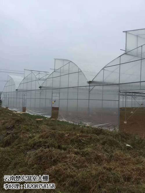 温室大棚厂家供货,西畴温室大棚,楚宏农业 温室大棚厂家销售 温室大棚厂家地址