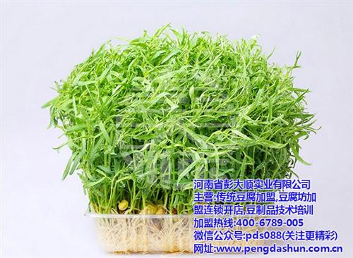 咸阳酸浆豆腐加盟,彭大顺酸浆豆腐加盟,传  酸浆豆腐加盟豆腐  酸浆豆腐加盟培训  传统酸浆豆腐加盟