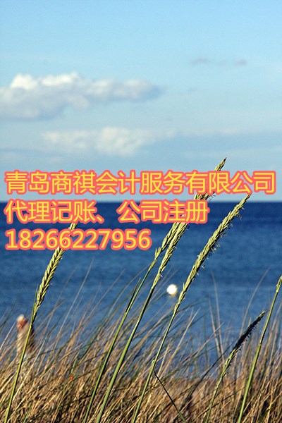 为您提供专业高效的工商等注册代理记账一体化服务  税务登记证  纳税申报  公司的年审