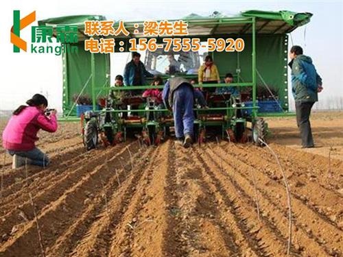 山姆苹果,康霖现代农业,山姆苹果礼盒批发  山姆苹果礼盒哪里  山姆苹果直销