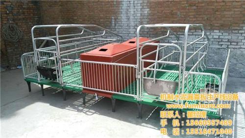猪宝宝养殖设备、濮阳母猪产床、母猪产床价  母猪产床规格  母猪产床价格  母猪定位栏
