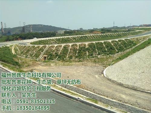 福州波斯菊种子,种子,福州景晖生态工程(&nbsp;&nbsp;福州椰网种子&nbsp;&nbsp;福州花种子种子