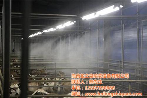 喷雾降温系统|龙之泉|海口喷雾降温系统价  琼海喷雾降温系统