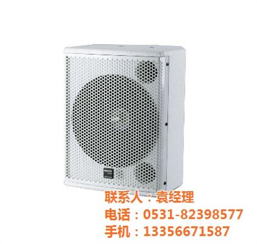 山东荷创影音技术有限公司|潍坊音响设备|  会议室音响设备  音响设备报价  音响设备价格