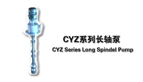 临沧立式循环泵|江苏长凯机械|立式循环泵 立式循环泵价格 立式循环泵供应