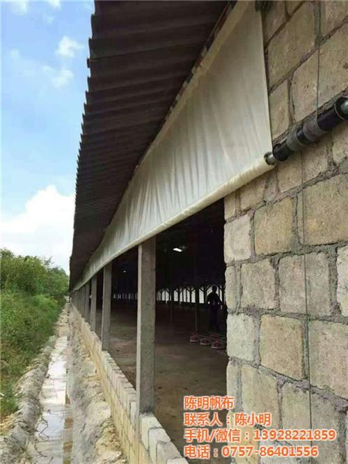 猪场用卷帘定做、猪场用卷帘、陈明帆布(图  猪场用卷帘厂家  猪场用卷帘价格