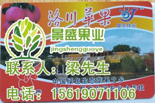 景盛果业,洛川红富士,洛川红富士基地  洛川红富士产业园  洛川红富士批发价