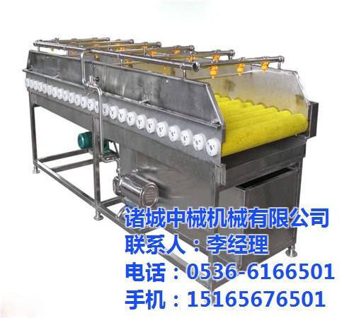 湖北蔬菜清洗机|诸城中械机械|蔬菜清洗机  蔬菜清洗机哪家好  蔬菜清洗机哪里有  蔬菜清洗机销售价