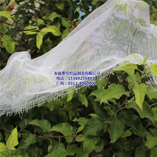 鄂尔多斯鬼节纱布_玄兹索纱布_鬼节纱布生  鬼节纱布生产  鬼节纱布定制  鬼节纱布规格