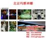玛雅神雕_游乐场室内儿童乐园_游乐场室内