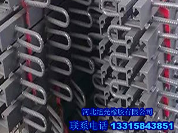 C型伸缩缝专业供应商|C型伸缩缝厂家&nbsp;&nbsp;C型伸缩缝价格