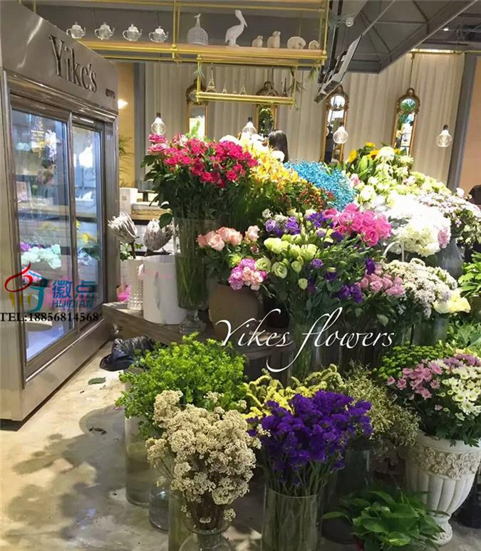 平移玻璃门鲜花保鲜柜，不锈钢落地式多门鲜花柜  不锈钢烤漆盆栽柜