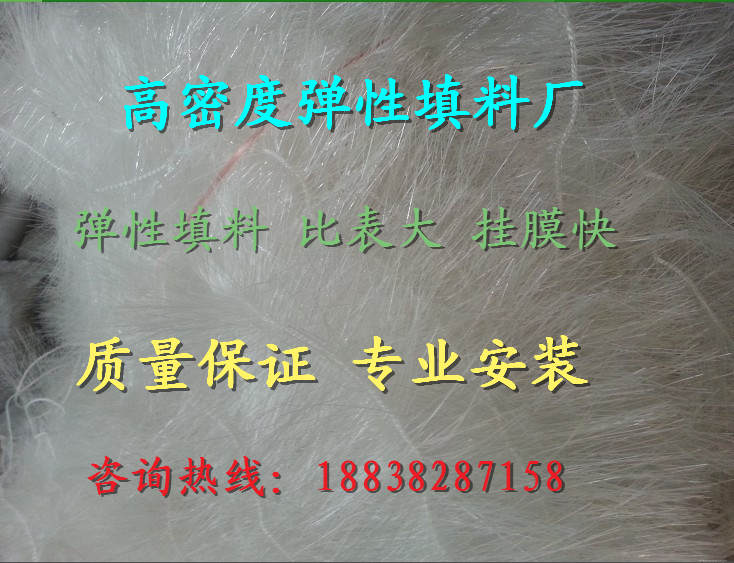 济南鱼塘生物挂膜填料怎么选择