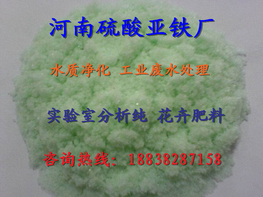 塔城家畜补血剂怎么挑选
