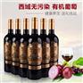 洋葱葡萄酒,汇川酒业诚招代理,洋葱葡萄酒