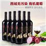 汇川酒业诚招代理_洋葱葡萄酒_洋葱葡萄酒