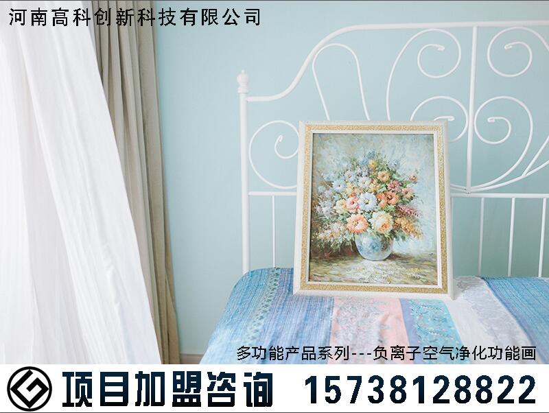专业提供加盟装修项目 装修材料代理&nbsp;&nbsp;装饰装潢加盟&nbsp;&nbsp;装饰品加盟