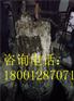 保定污水处理抽泥浆信息工程服务咨询