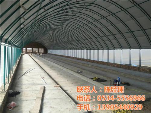 农业养殖大棚参数,农业养殖大棚,帅赫畜牧  农业养殖大棚生产  农业养殖大棚选型