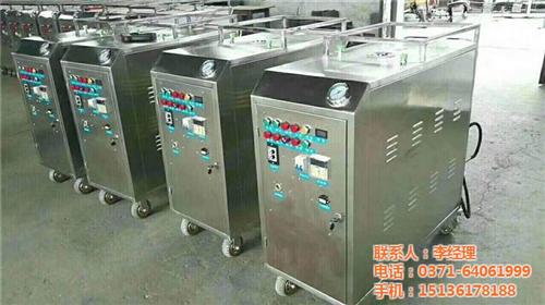 东林环保、天津蒸汽洗车机、蒸汽洗车机  什么牌子的蒸汽洗  双枪蒸汽洗车机