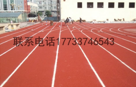 河南省鹤壁市专业学校操场运动场塑胶跑道建  鹤壁市塑胶跑道  运动场塑胶跑道建设  学校操场塑胶跑道厂家