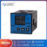 CWS-1T1H1智能温度控制调节器服务高效