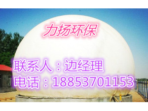 山东力扬双膜储气柜 膜式气柜生产商