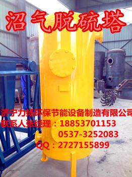 沼气脱硫塔 沼气脱硫器生产厂家 山东力扬