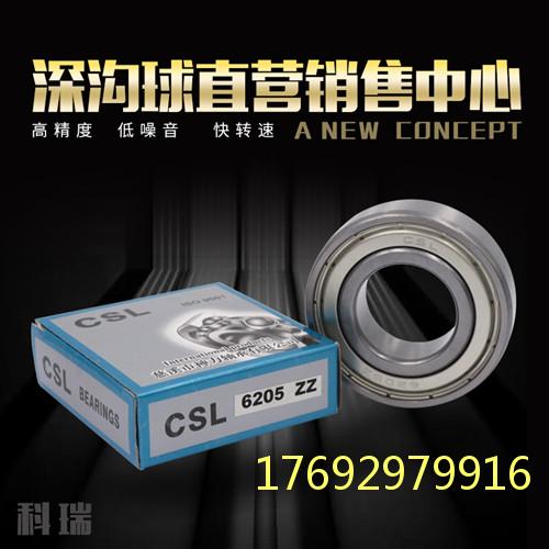 广东电机轴承|质量优良的慈溪神力0类轴承&nbsp;&nbsp;神力0类轴承价格