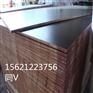 济南工程用建筑模板黑膜覆模板无空洞星冠木业