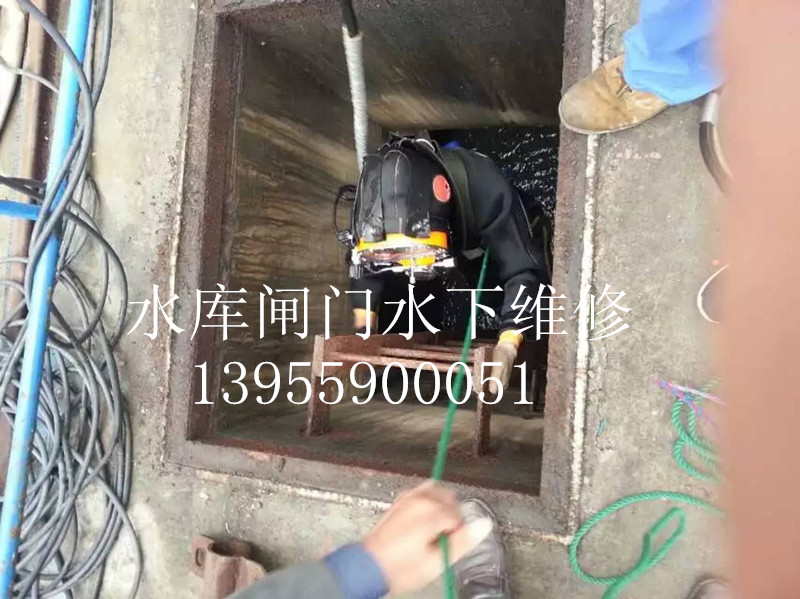 赫章水下放气囊多少钱  市政污水管道封堵  排水管道抢修堵漏  污水管道抢修堵漏