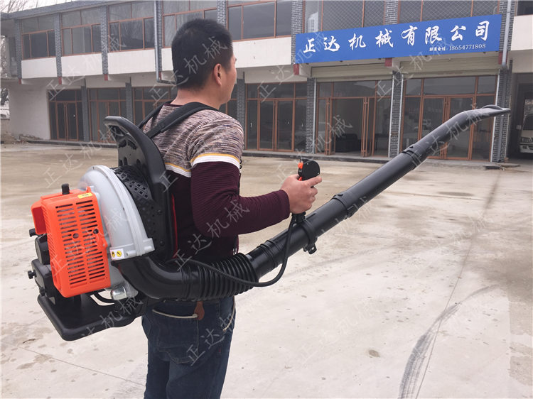 汽油吹风机 路面清理吹风机价格