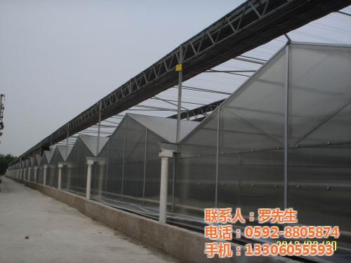 专业温室大棚建设_厦门温室大棚_黑土(图 温室大棚设计 温室大棚找哪家