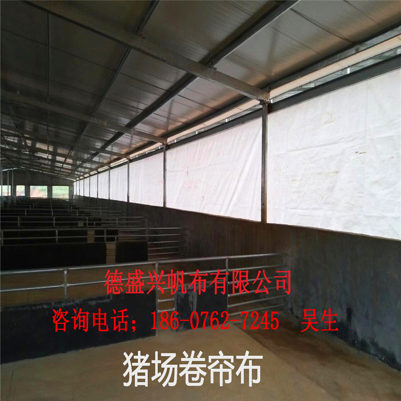 鸡场卷帘布厂家 大型养殖场卷帘布 温室养殖场卷帘布订做  猪场卷帘布  牛场卷帘布  羊场卷帘布