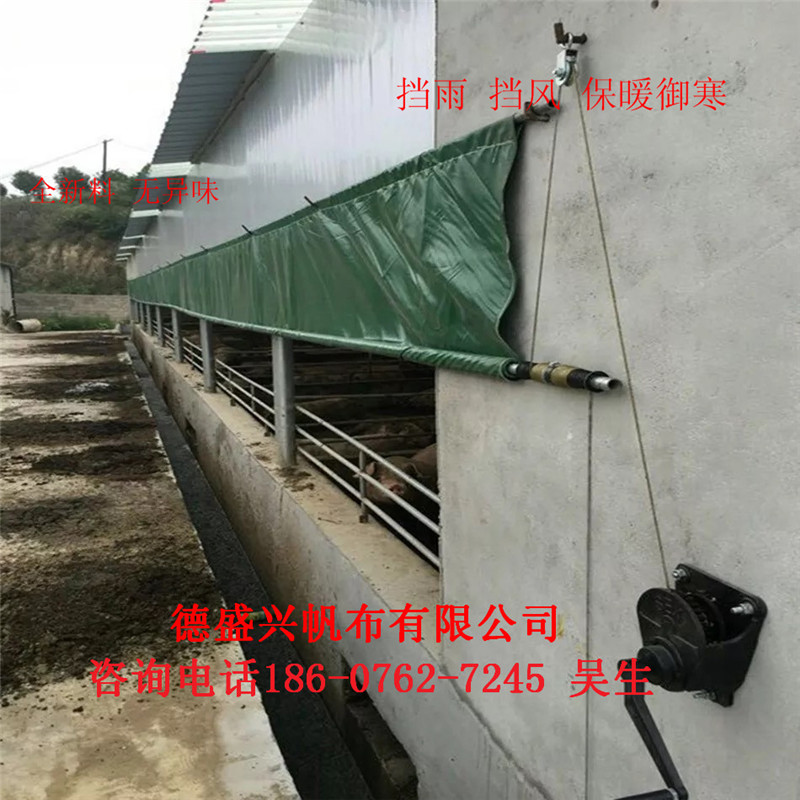 鸡场卷帘布厂家 大型养殖场卷帘布 温室养殖场卷帘布订做  猪场卷帘布  牛场卷帘布  羊场卷帘布