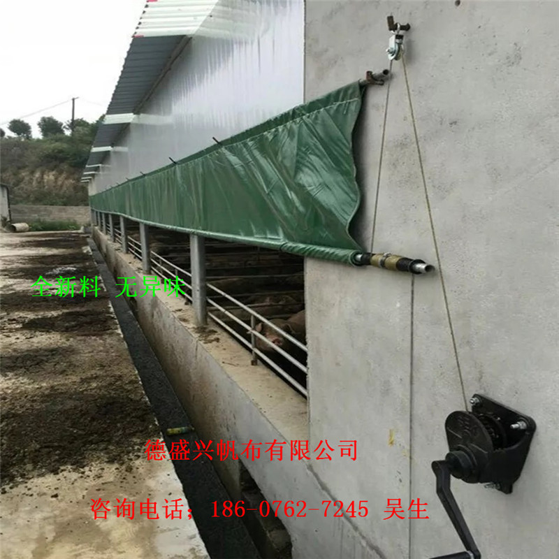 猪场卷帘布_广东猪场卷帘布-广西猪场卷帘布-  牛场卷帘布  羊场卷帘布