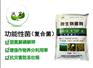 功能菌剂固氮解磷解钾菌生物菌肥料添加菌