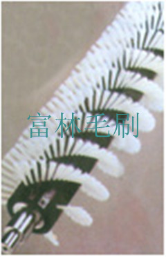 毛刷式冬瓜清洗脱皮机 冬瓜清洗机毛刷