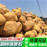 上海园林黄蜡石 上海黄蜡石厂家 黄色园林石批发