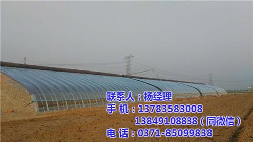 郑州温室大棚包工队|郑州温室大棚|【欣荣  郑州温室大棚花卉  郑州温室大棚骨架