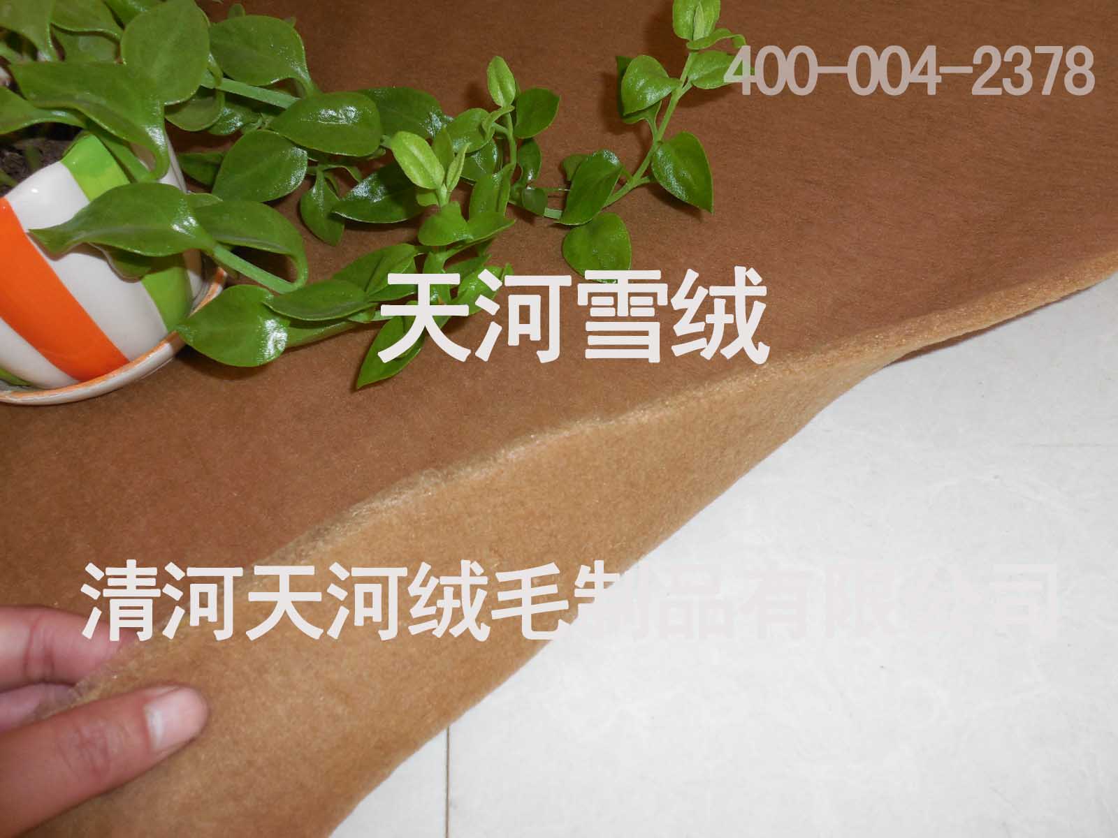 全市质量好的驼绒絮片推荐-购买驼绒絮片厂  驼绒絮片厂家  驼绒絮片批发