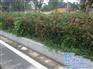 山东道牙石多少钱一米，花岗岩道牙石价格